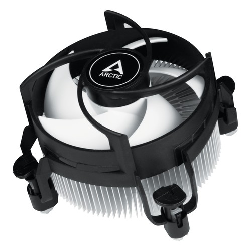 Arctic alpine compact - alpine, 17